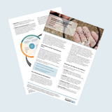 Microplastics & Plastic Associated Chemicals