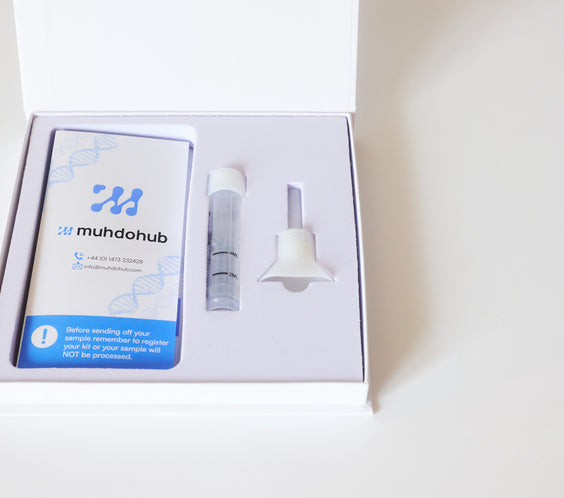 DNA & Epigenetic - Test Kit 1