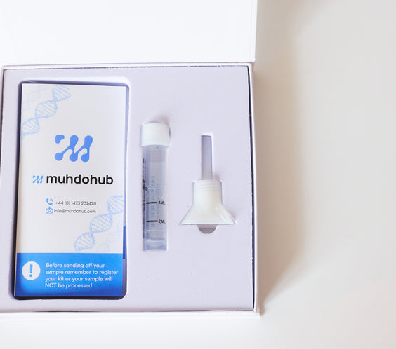 DNA & Epigenetic - Test Kit 1