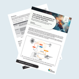 Psycho-Neuro-Immunology in Clinical Practice