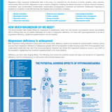 Magnesium – A Critical Mineral for Health